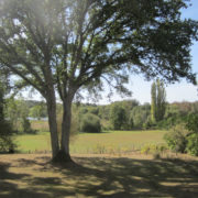 transaction-vente-maison-landelles-confort-vue-rare-hlpatrimoine-vigneuxdebretagne