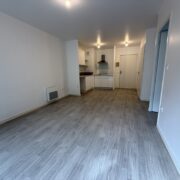 Très beau T2 avec son grand balcon plein Sud - HL-PATRIMOINE