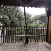 Très beau T2 avec son grand balcon plein Sud - HL-PATRIMOINE